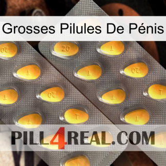 Grosses Pilules De Pénis cialis2
